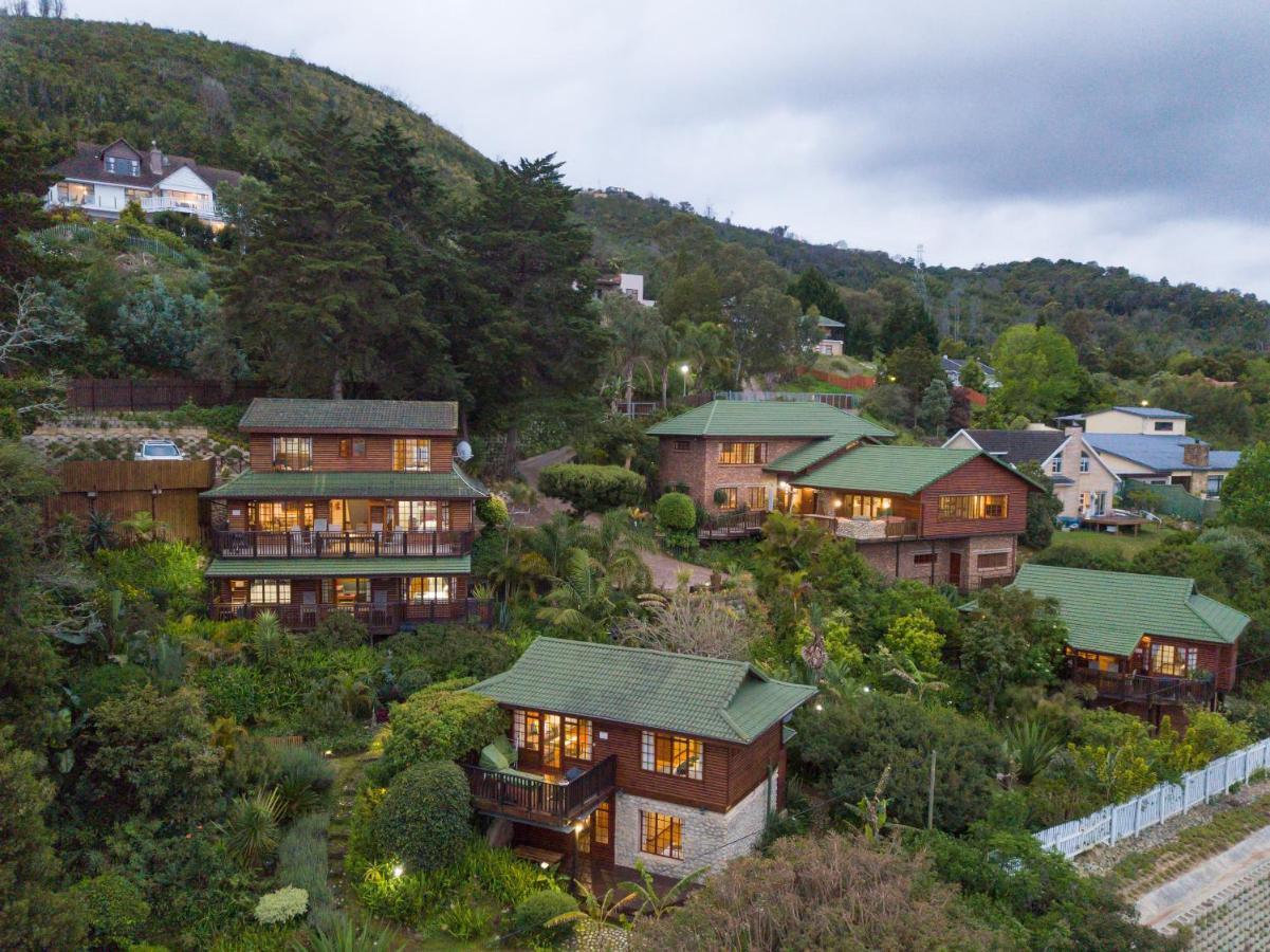 Big Tree House Lodge Knysna Bagian luar foto