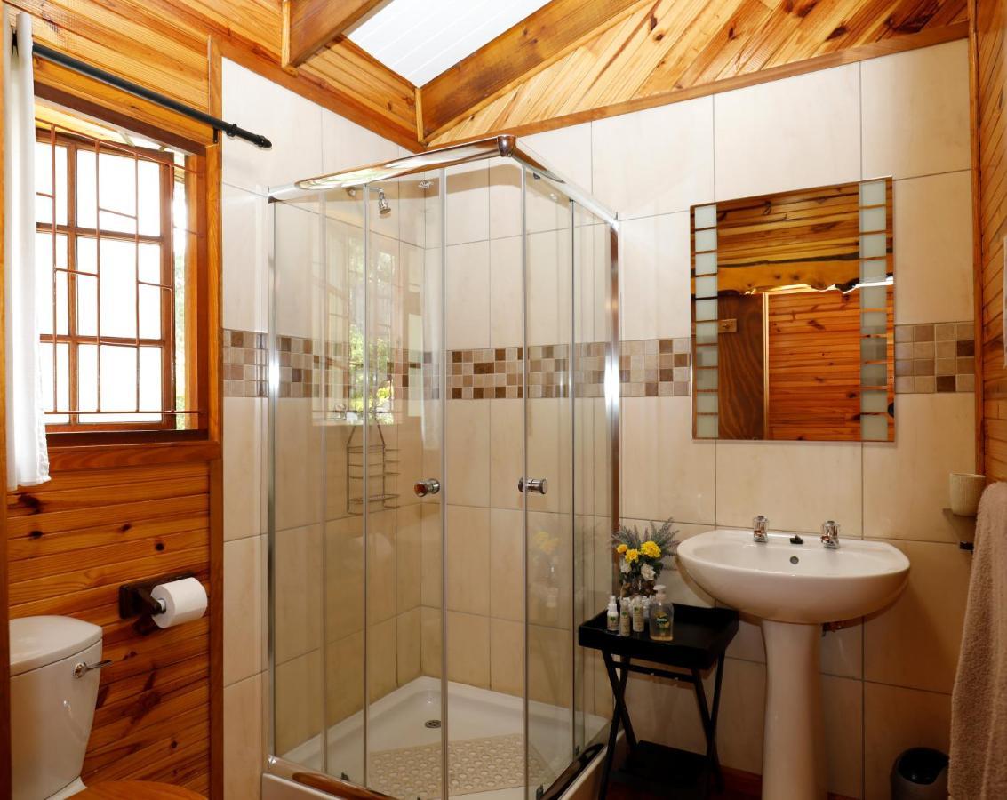 Big Tree House Lodge Knysna Bagian luar foto