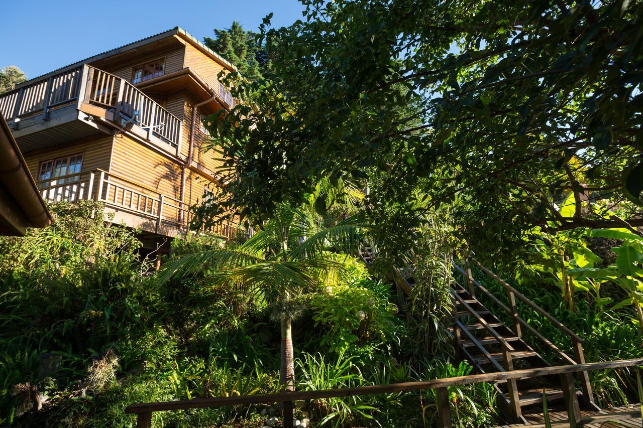 Big Tree House Lodge Knysna Bagian luar foto