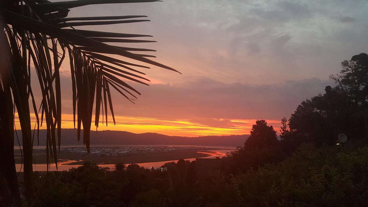 Big Tree House Lodge Knysna Bagian luar foto