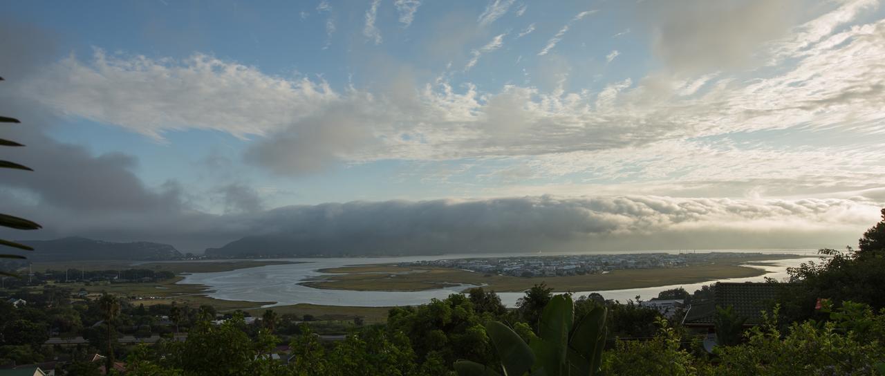 Big Tree House Lodge Knysna Bagian luar foto