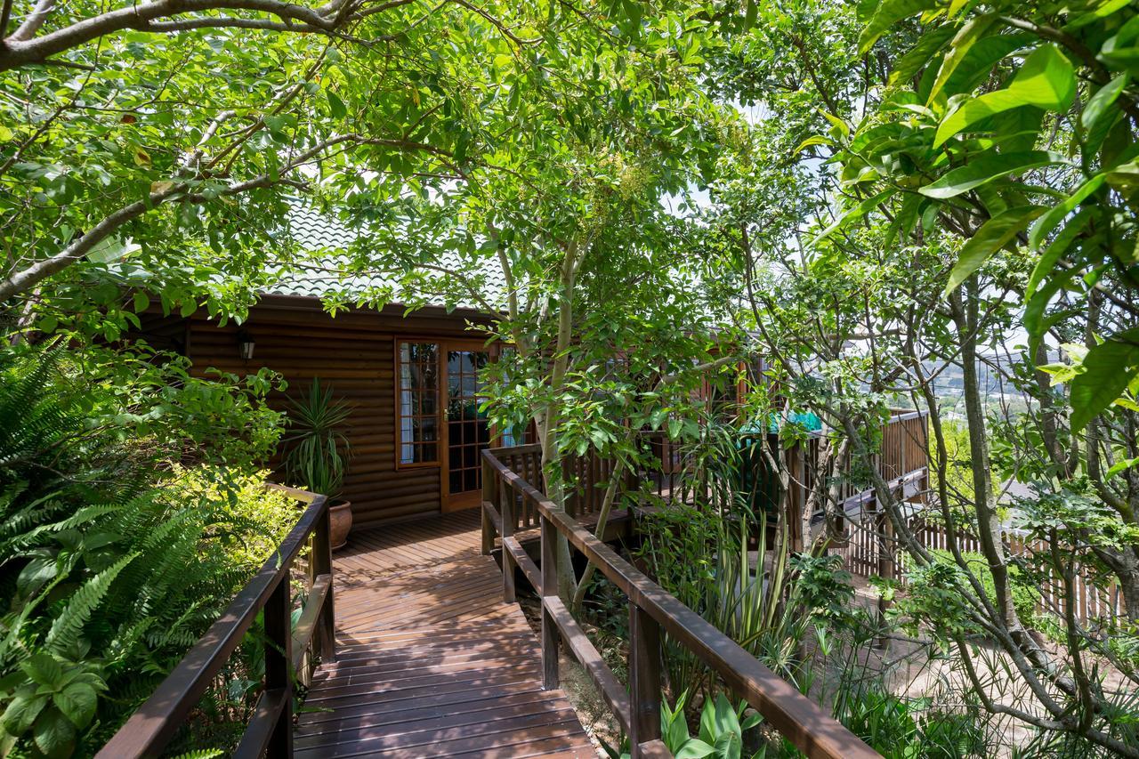 Big Tree House Lodge Knysna Bagian luar foto